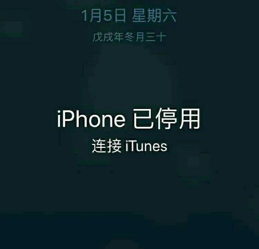 苹果已停用怎么解除赚钱版
