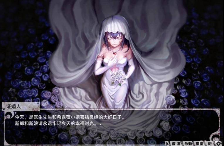 薇希尔汉化安卓内购版