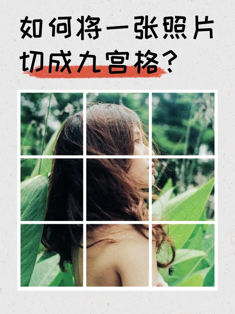 相片九宫格怎么制作绿色版