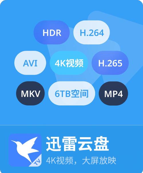 迅雷u享版官网无广告无卡密