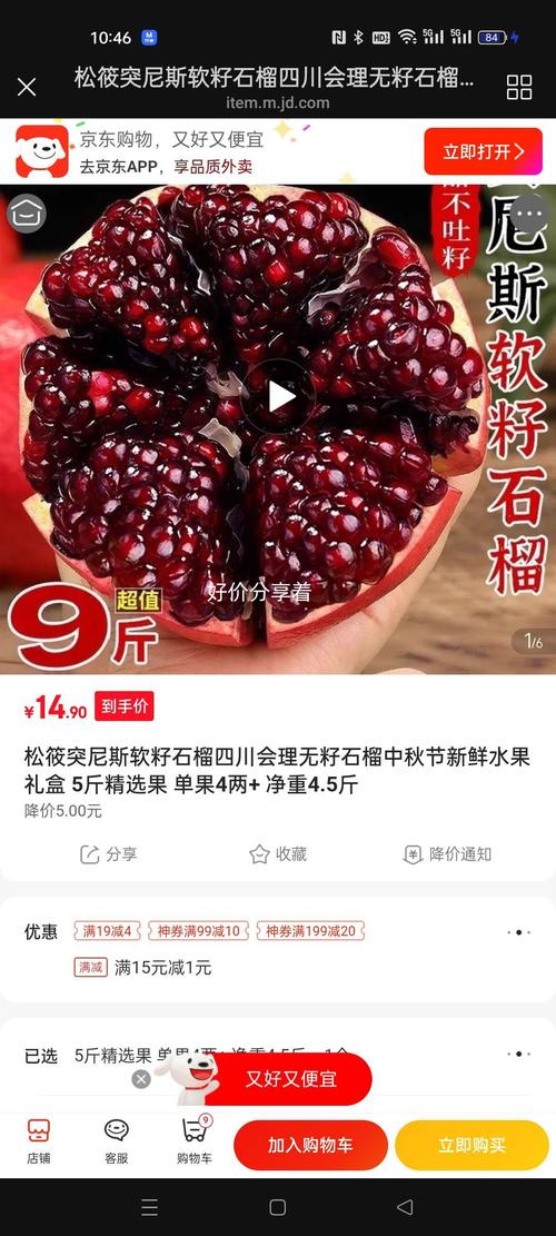 种果树赚钱APP下载白色版无删减