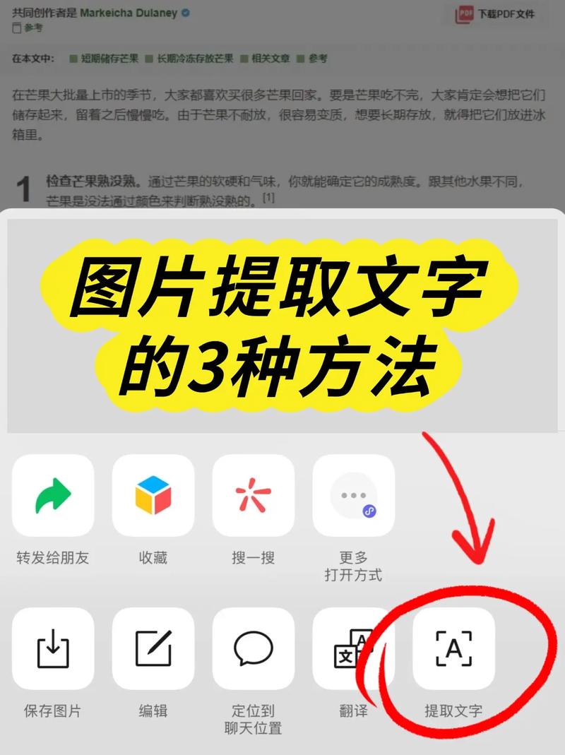 怎么在图片上编辑文字提现版