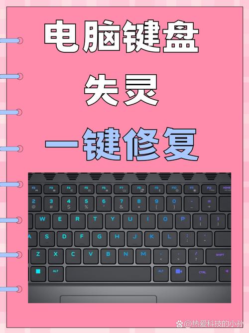 电脑左半边键盘字母全部失灵红包版