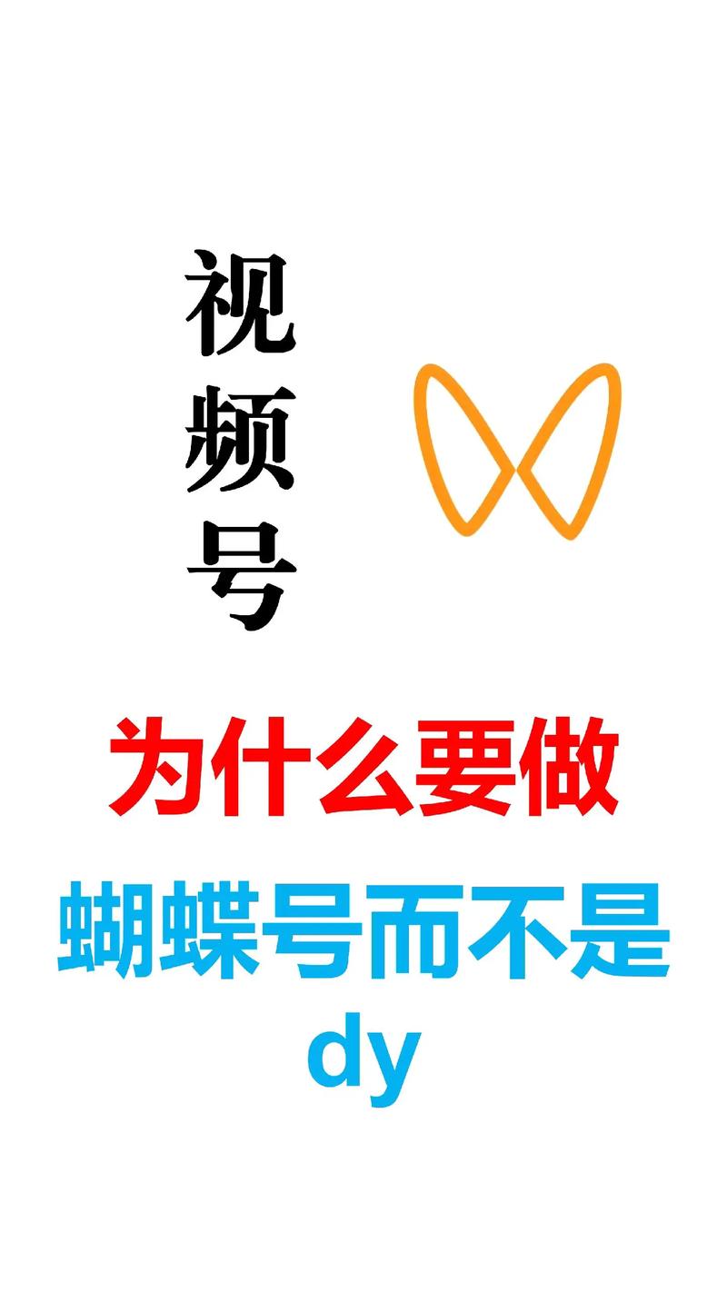 新人小白怎么做蝴蝶号赚钱提现版