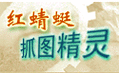 红蜻蜓抓图精灵2012红包版