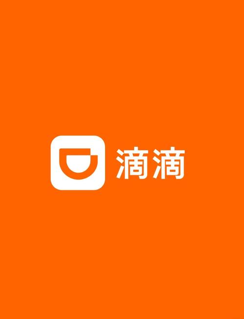 滴滴车年限极速版2023