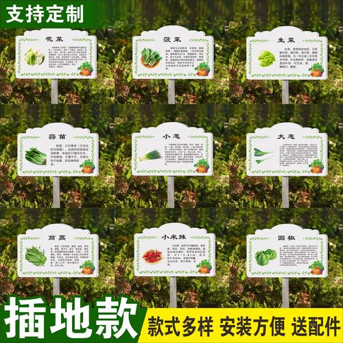悠悠菜园赚钱版下载安装