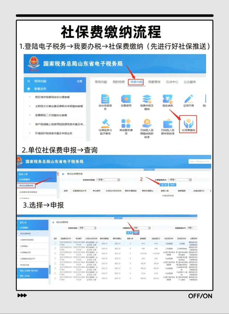 山东税务社保缴费小程序怎么更改实名认证信息赚红包版