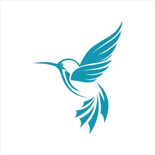 蜂鸟视频V1.0.0