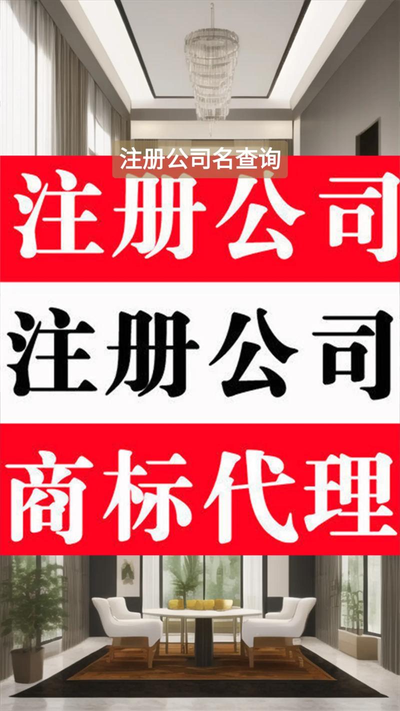 公司名注册查询官网电视版