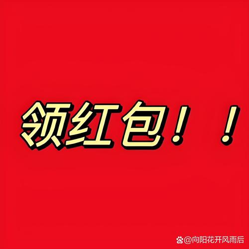 今日红包2021
