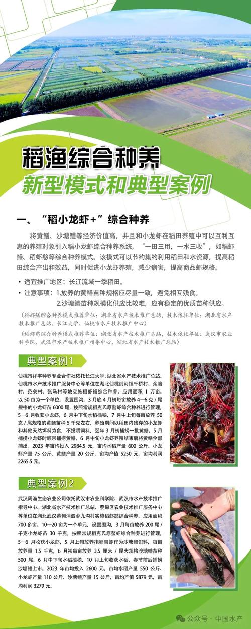云养虾赚钱