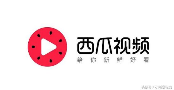 西瓜视频赚钱助手中文字幕