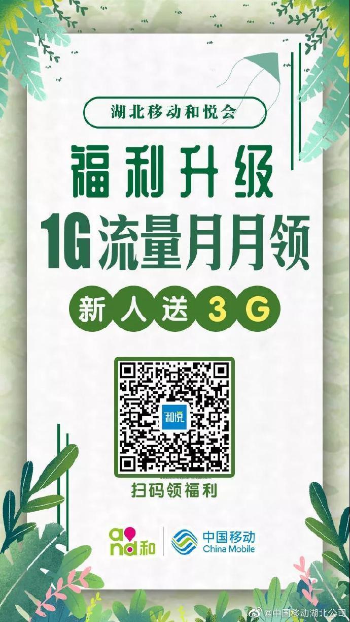 姨妈一般流量多少赚钱版