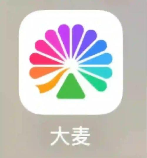 抢麦2024年免费安装