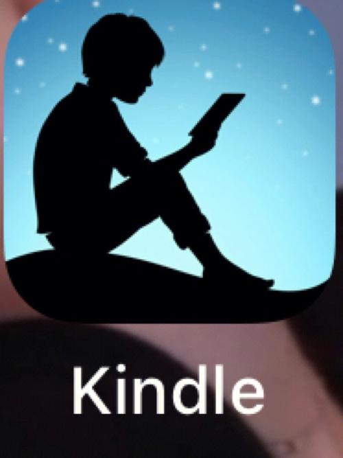 Kindle书下载黑色版免墙版