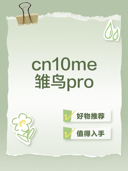 cn10me雏鸟pro官网版绿色版汉化版