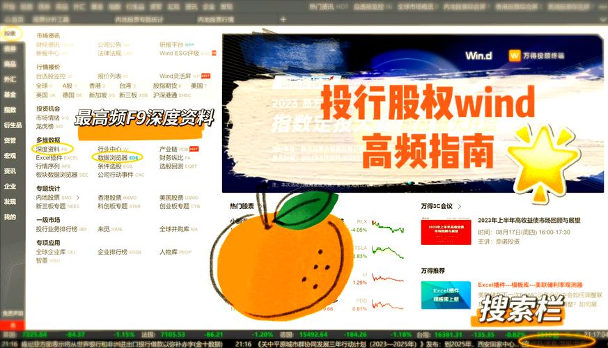 普通人怎么查wind数据赚红包版