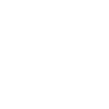 instagram脸部特效白色版