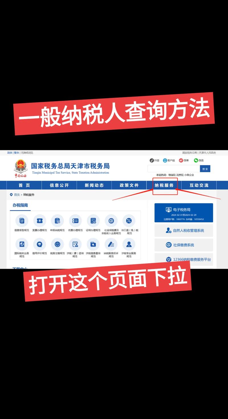 查个人税务怎么查正式版