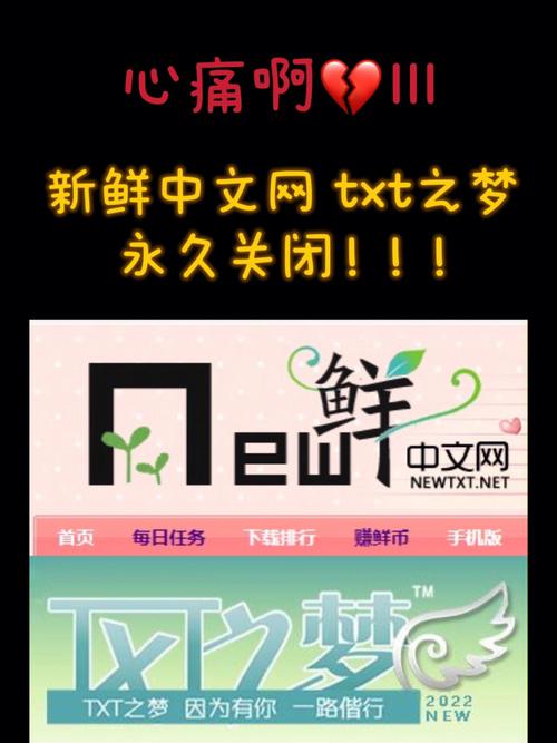 新鲜中文网txt永久会员版
