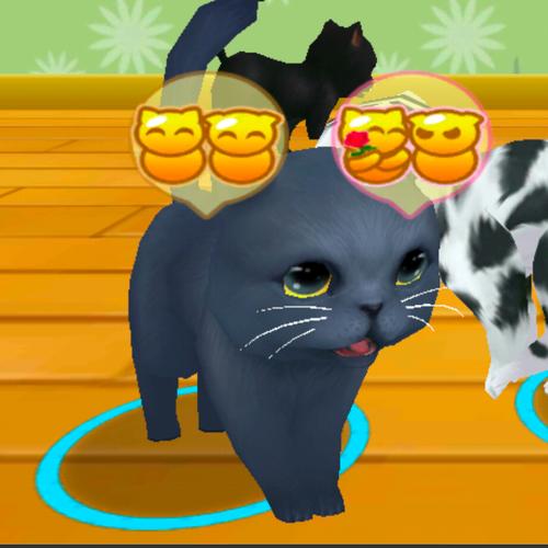 晴天小猫-晴天小猫官方版下载