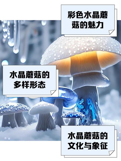 水晶蘑菇是永久的吗