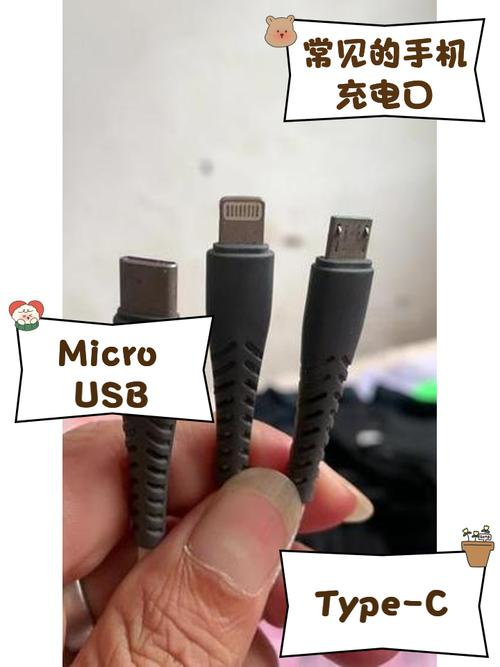 手机充电接口类型经典版无广告