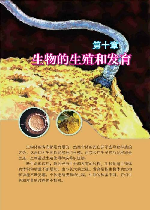 共同发育最新版本更新内容介绍手机版