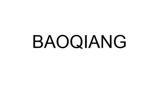 baoesp国体直装