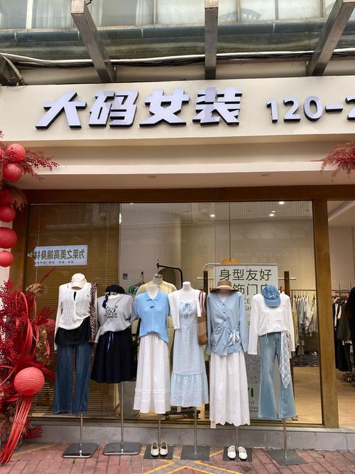开一家大码女装店需要多少钱内购最新版