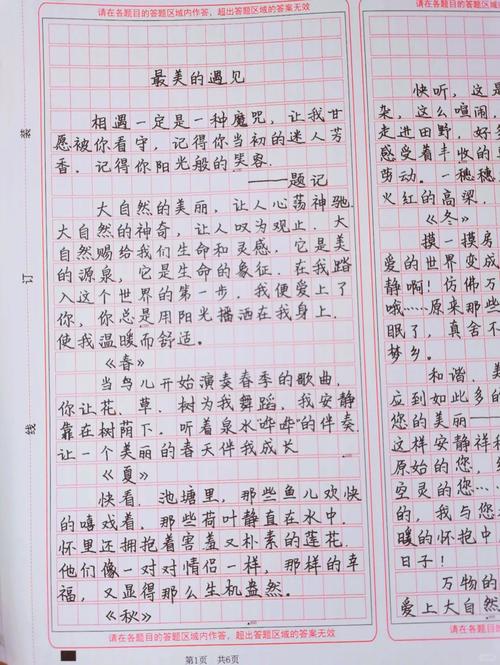 优美散文摘抄500字免排队
