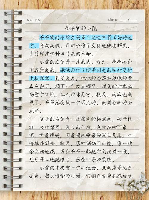 爷爷的小院作文400字