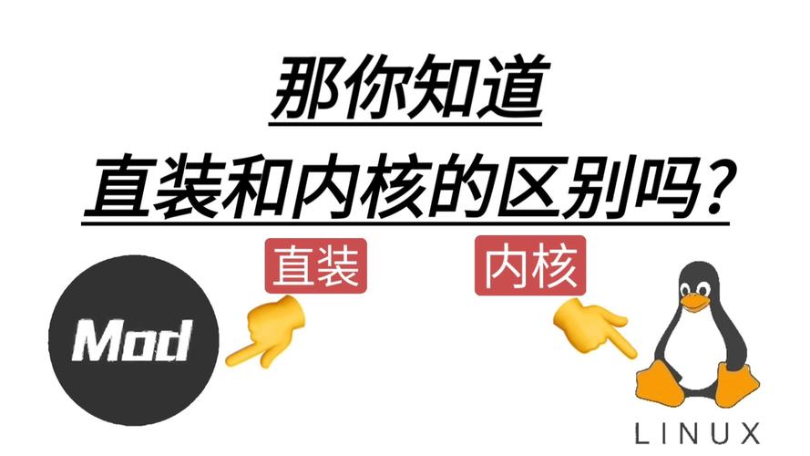 直装和内核挂的区别永久不升级