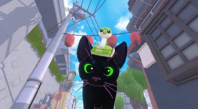 猫咪城巨大猫咪之地-猫咪城市