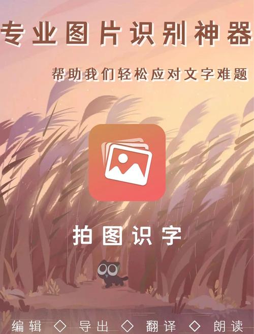 智慧拍图识字软件最新版安装方法红包正版