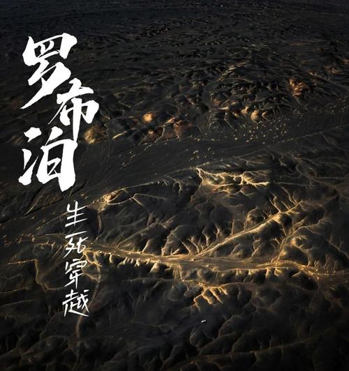 生死罗布泊的故事原型破解版无限体力
