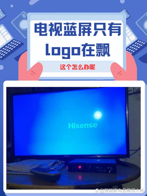 电视之家电视版本蓝色旧版无广告免费vip版紫色版