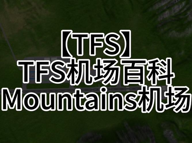 tfs洪水模组安装国际版