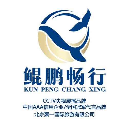 鲲鹏专车司机端