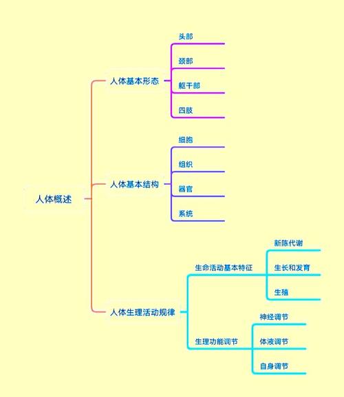 成品人与精品人的思维导图去限制版截图