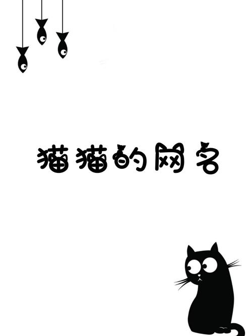 二次元猫的名字无限制永久免费