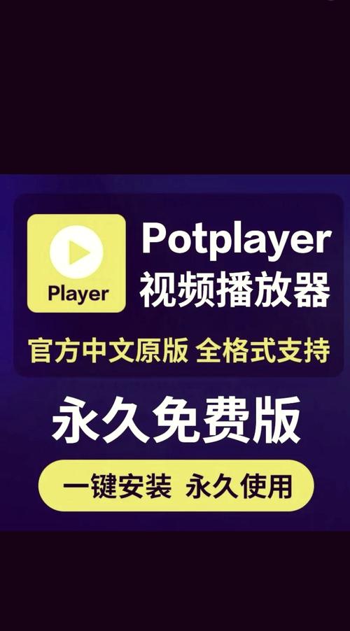 potplayer苹果手机版
