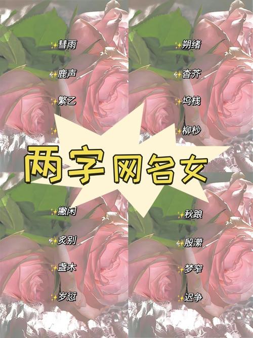 正能量二字网名女无限能量破解版