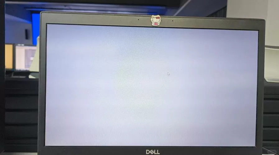 ipad显示白屏无法开机