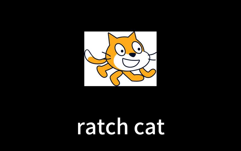 scratch猫