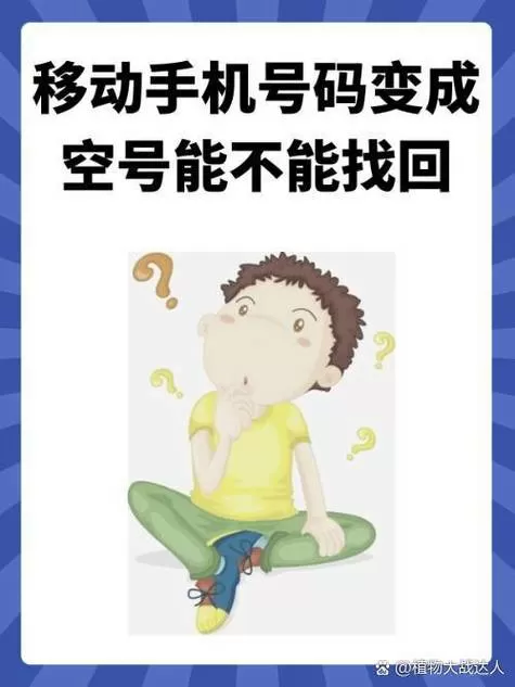 空号的号码交了话费可以回来吗