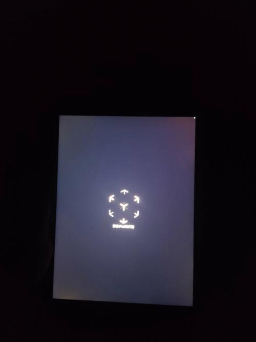 ipad屏幕一直闪烁重影截图
