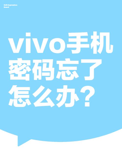 怎么找回vivo账号密码