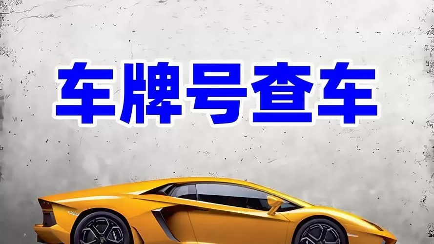 车牌号查车位置软件